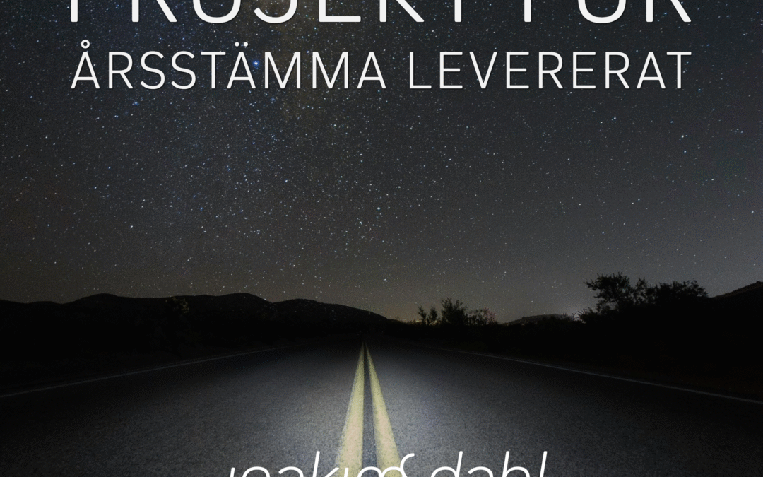 Jag ansvarade för att genomföra och dokumentera årsstämman